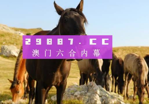 管家婆澳門一肖一碼100精準(zhǔn)2023,準(zhǔn)確資料解釋落實(shí)_旗艦款53.770