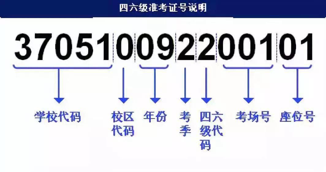 7777788888管家婆資料,快速解答策略實(shí)施_薄荷版11.789