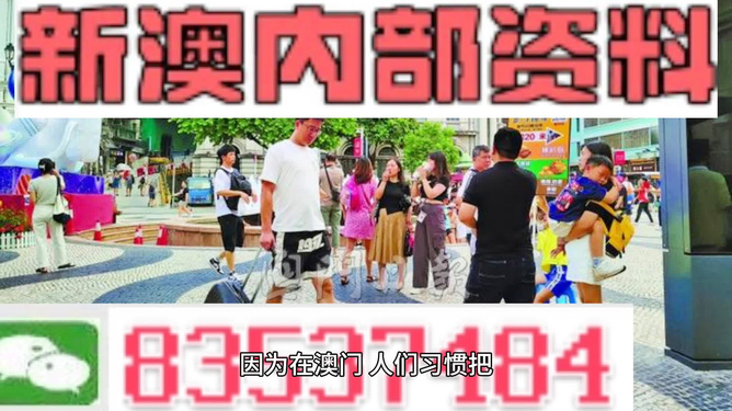 澳門正版資料大全免費(fèi)——探索澳門在2024年的全新視界，澳門正版資料大全免費(fèi)，探索澳門未來視界 2024全新展望