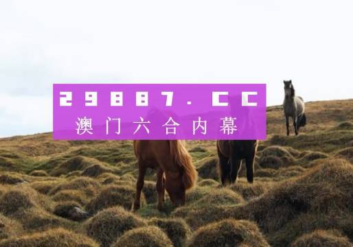 澳門六開獎結(jié)果2023開獎記錄查詢網(wǎng)站,深層設(shè)計策略數(shù)據(jù)_創(chuàng)意版13.604